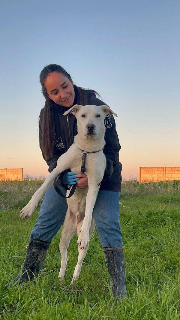 Enea - 1 anno Foto 8