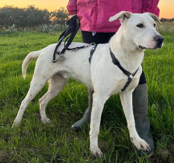 Enea - 1 anno Foto 9