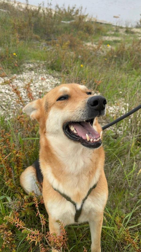 Betty - 1 anno Foto 2