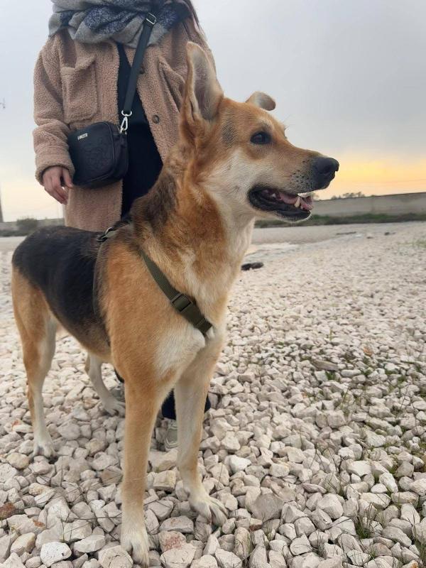 Betty - 1 anno Foto 3