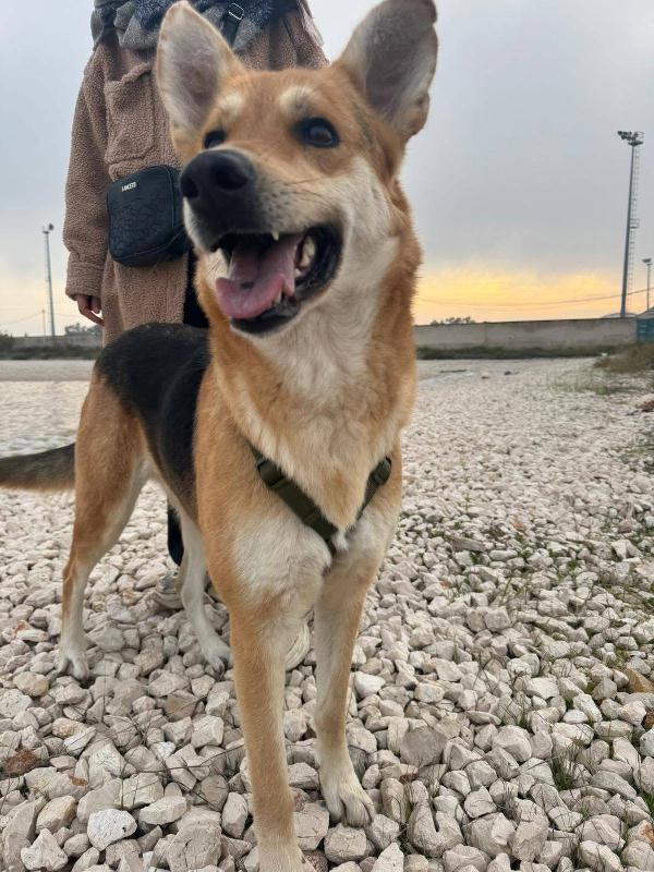 Betty - 1 anno Foto 4