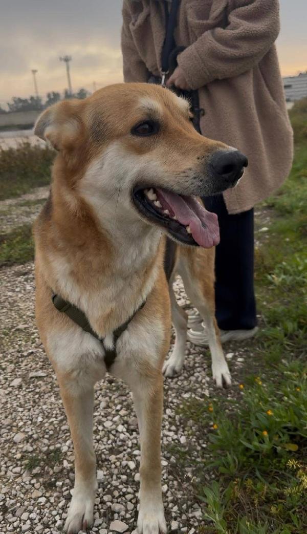 Betty - 1 anno Foto 5