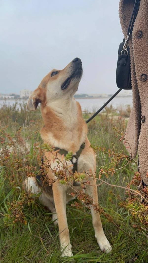 Betty - 1 anno Foto 7