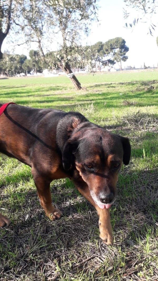 Nina - 7 anni Foto 2