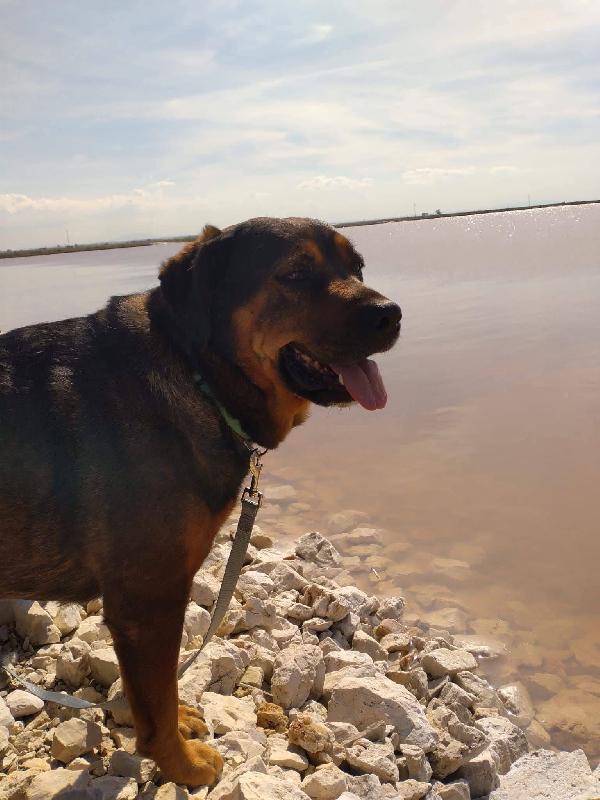 Nina - 7 anni Foto 3