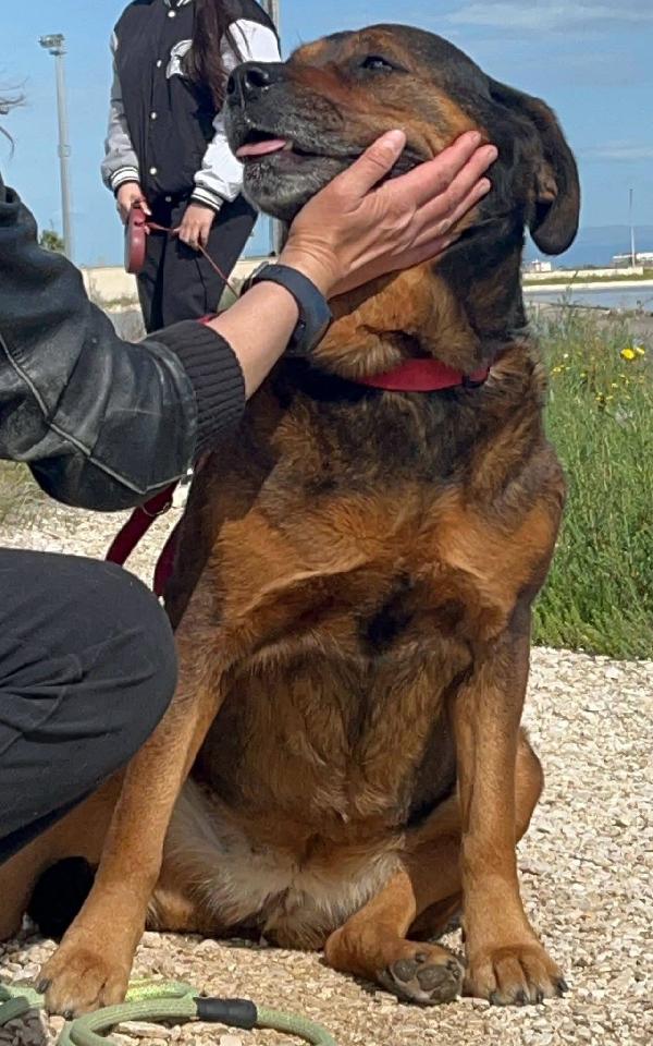 Nina - 7 anni Foto 4