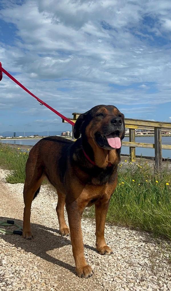 Nina - 7 anni Foto 5