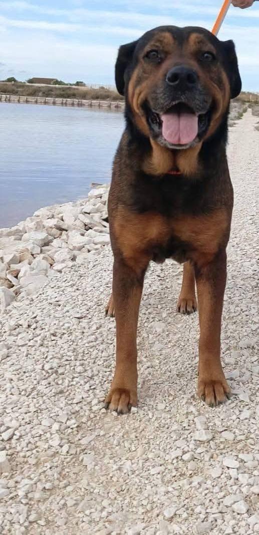 Nina - 7 anni Foto 6