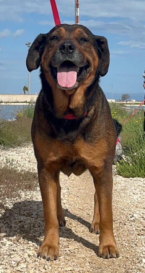 Nina - 7 anni Foto 7