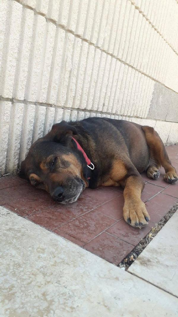 Nina - 7 anni Foto 8