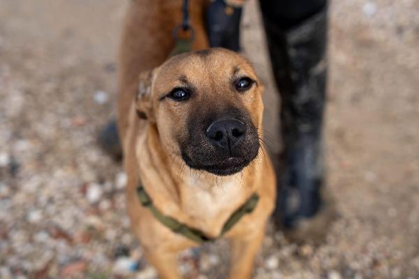 Andreas - 9 mesi Foto 2