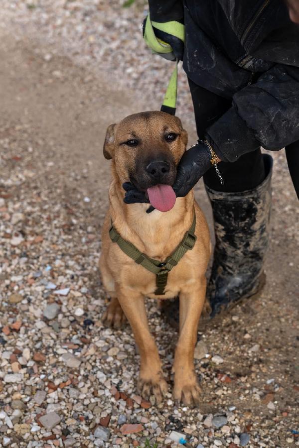 Andreas - 9 mesi Foto 3