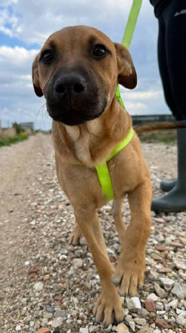 Andreas - 9 mesi Foto 4