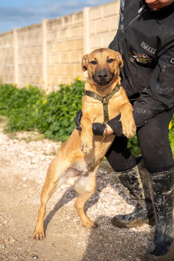 Andreas - 9 mesi Foto 5