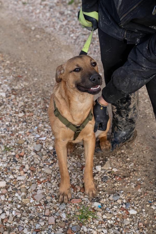 Andreas - 9 mesi Foto 6