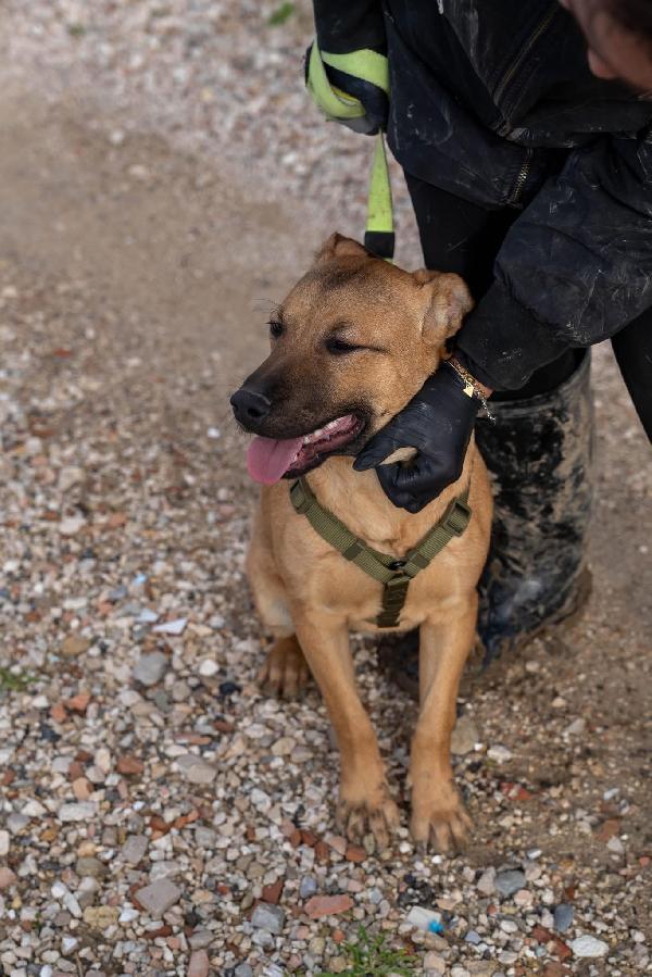 Andreas - 9 mesi Foto 7