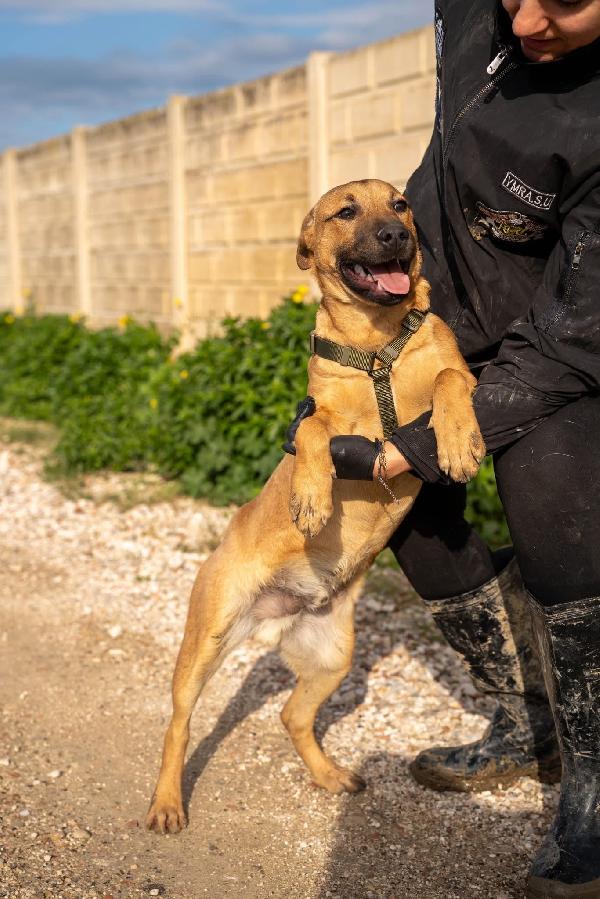 Andreas - 9 mesi Foto 8