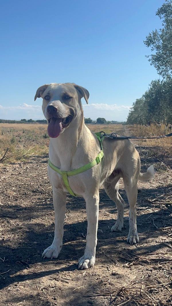 Simon - 1 anno Foto 2