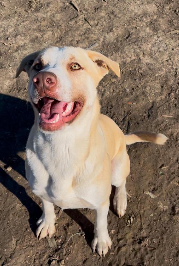 Simon - 1 anno Foto 3