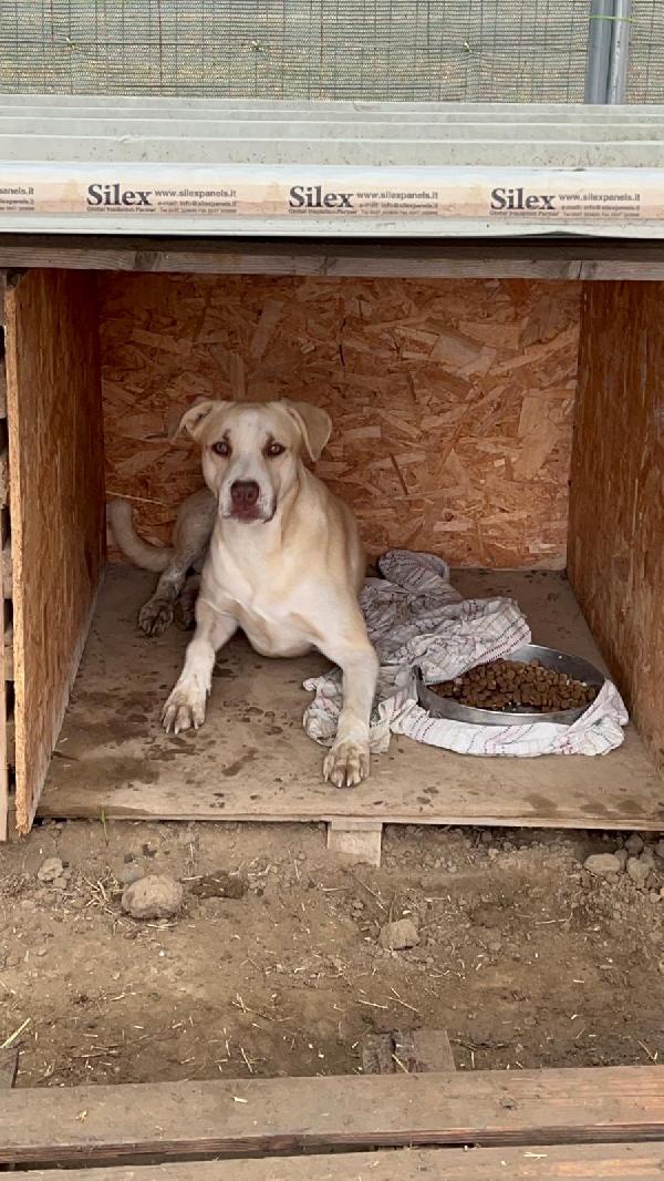 Simon - 1 anno Foto 5