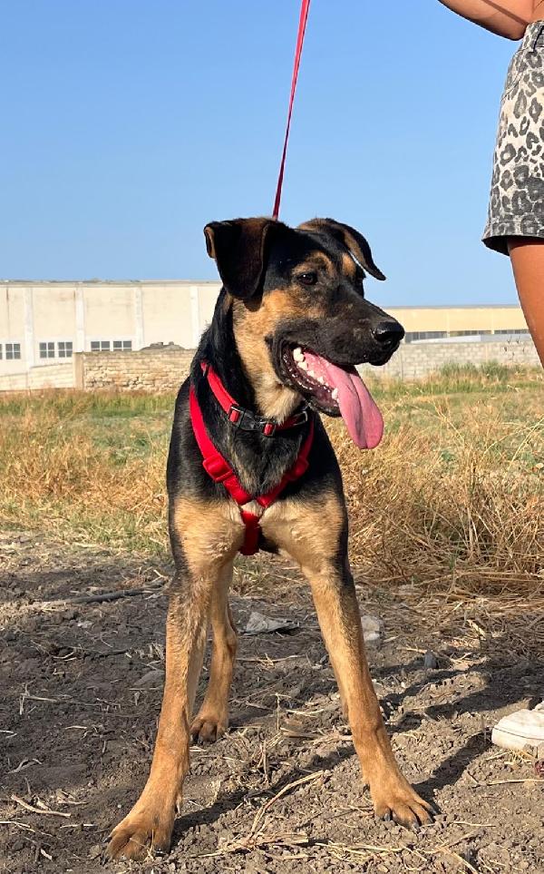 Mary - 1 anno Foto 2