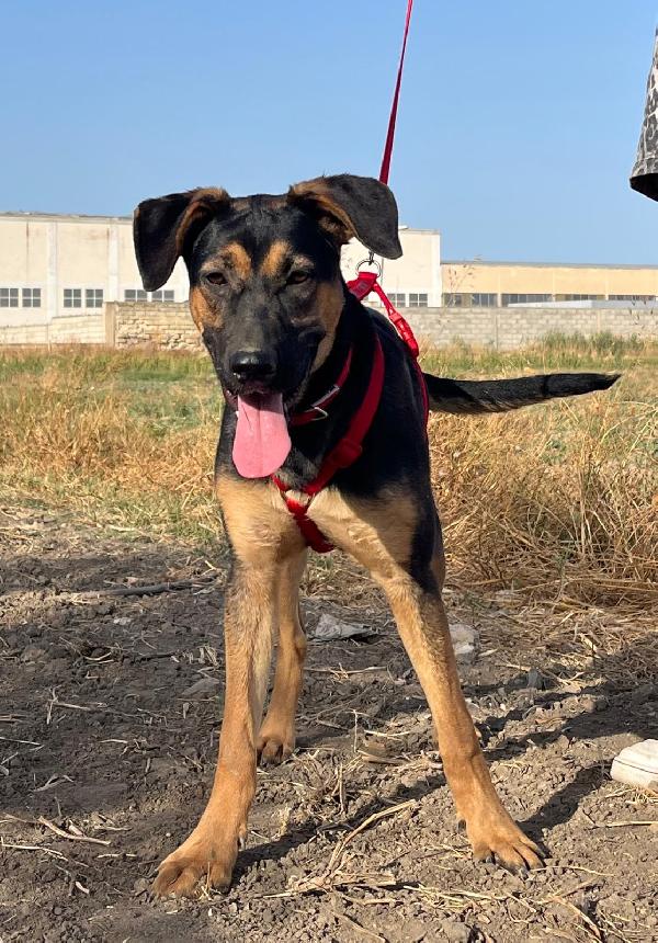 Mary - 1 anno Foto 3