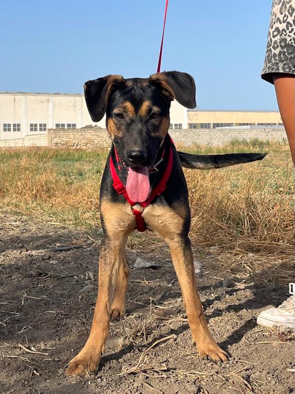 Mary - 1 anno Foto 4