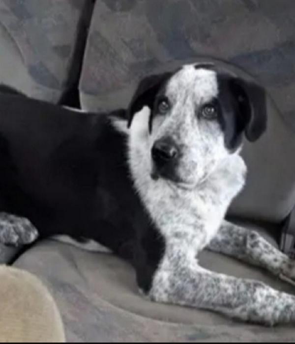 Chris 3Anni Mollato In Montagna 2Anni Fa.roma