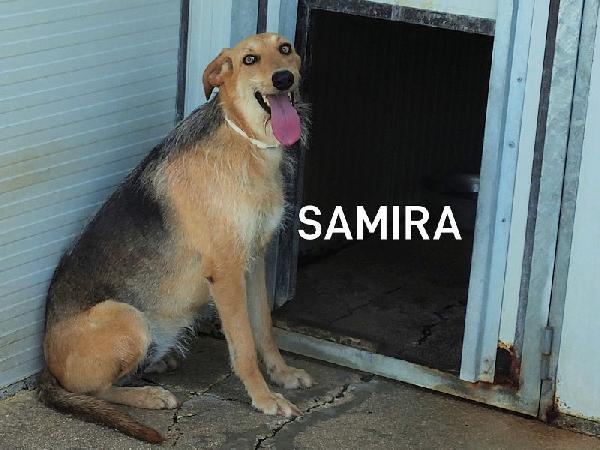 Samira bella e sorridente Foto 2