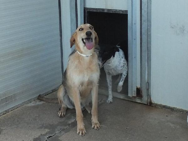 Samira bella e sorridente Foto 4