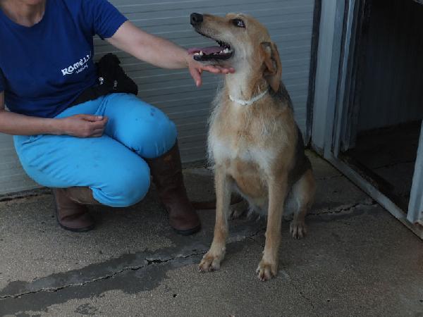 Samira bella e sorridente Foto 5