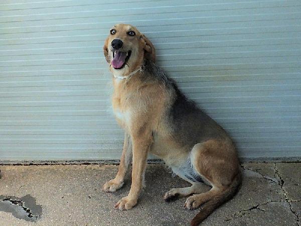 Samira bella e sorridente Foto 6