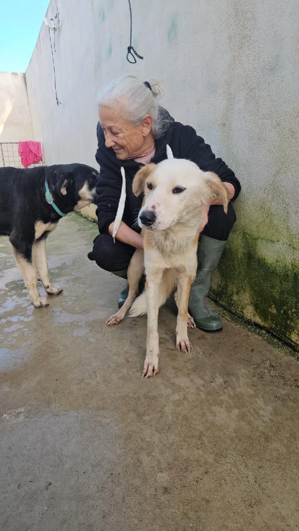 Gemma: dolce e sensibile  Foto 11