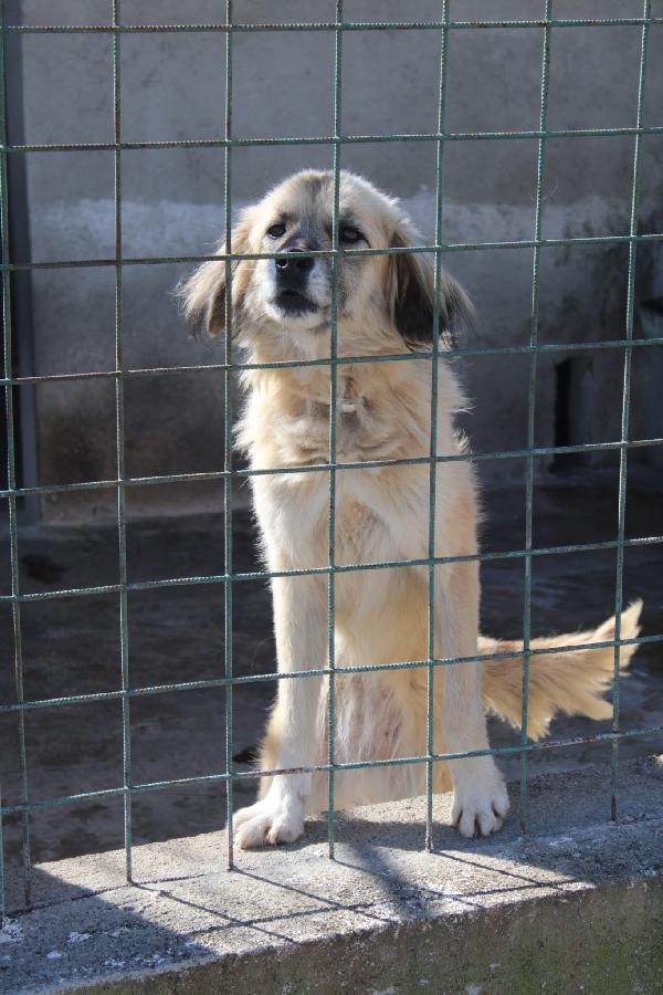 Minnie 8 Anni Taglia Media