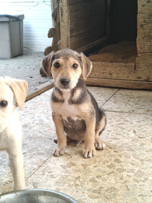 Giacomino dolce e coccolone  Foto 2