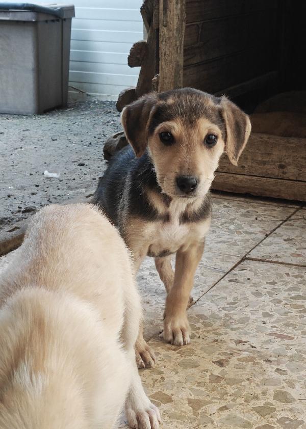 Giacomino dolce e coccolone  Foto 3