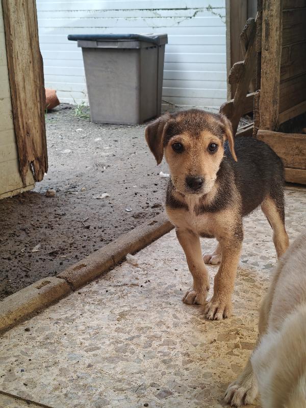 Giacomino dolce e coccolone  Foto 4