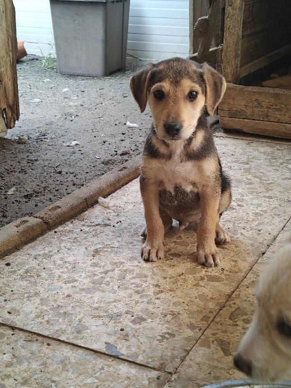 Giacomino dolce e coccolone  Foto 5