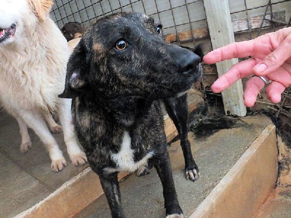 Sina Socievole E Affettuosa