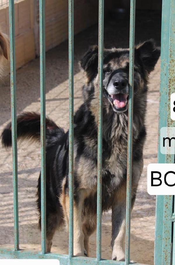 Argo 8 Anni Taglia Media