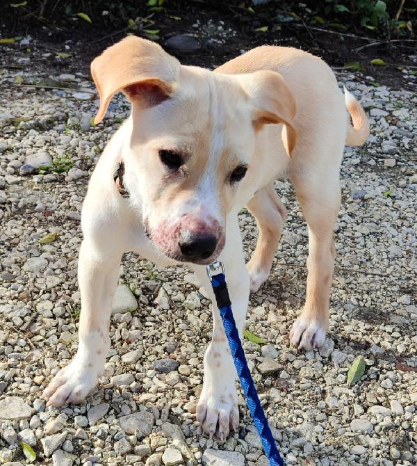 3mesi color biscotti tg media futura PRONTO X PARTIRE Foto 2