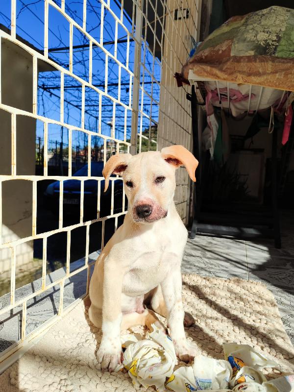 3mesi color biscotti tg media futura PRONTO X PARTIRE Foto 7