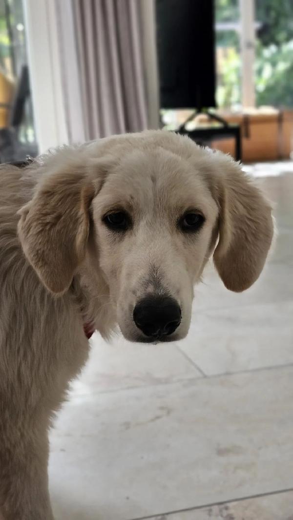 Paula: 1 Anno, Socievole Ed Equilibrata 