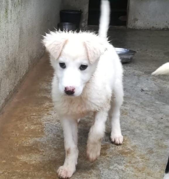 UNA MAMMA PER CARAMELLO  Foto 2