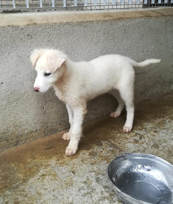 UNA MAMMA PER CARAMELLO  Foto 3