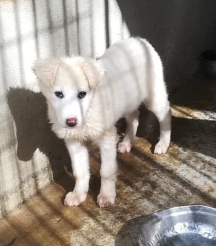 UNA MAMMA PER CARAMELLO  Foto 5