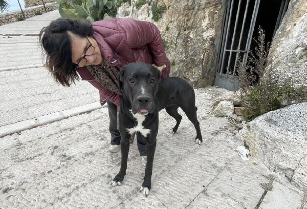 Cloe Alano Cerca Casa