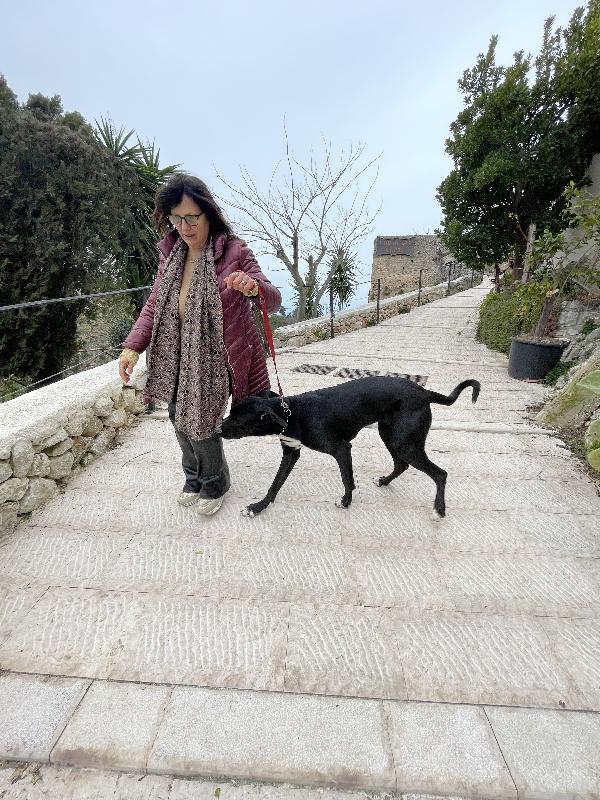 Cloe Alano cerca casa Foto 4