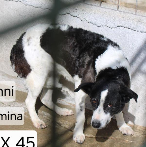 BIRBA 10 ANNI taglia media Foto 2