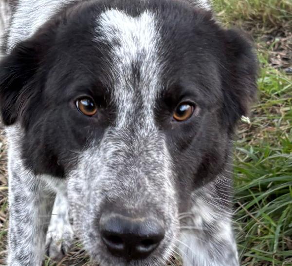 Serena, un anno Foto 3